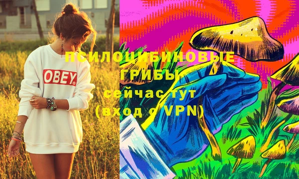 шишки Липки