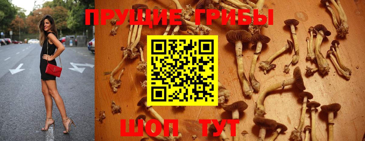 Псилоцибиновые грибы мицелий  Батайск 