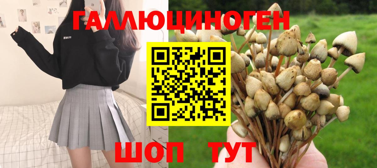 Батайск  Галлюциногенные грибы Psilocybe  как найти   Вход с VPN 